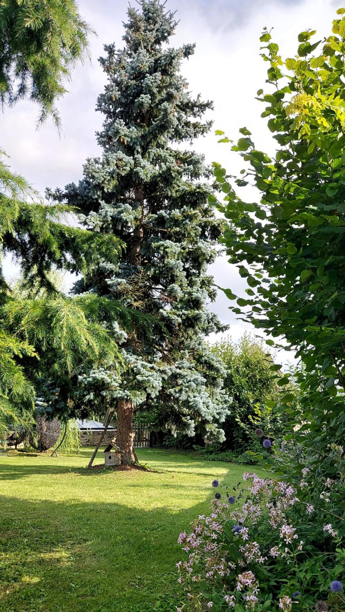 Bed and Breakfast La Bergerie-En-Vexin Jambville Esterno foto
